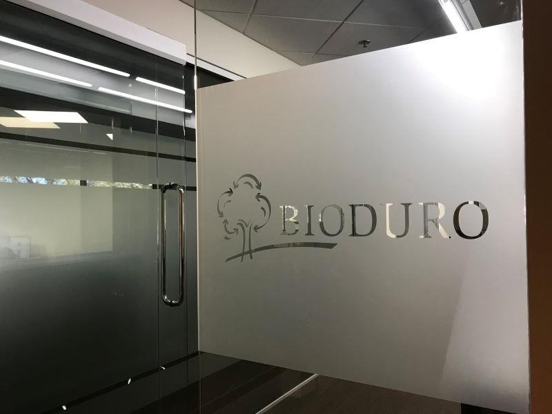 window and wall graphics